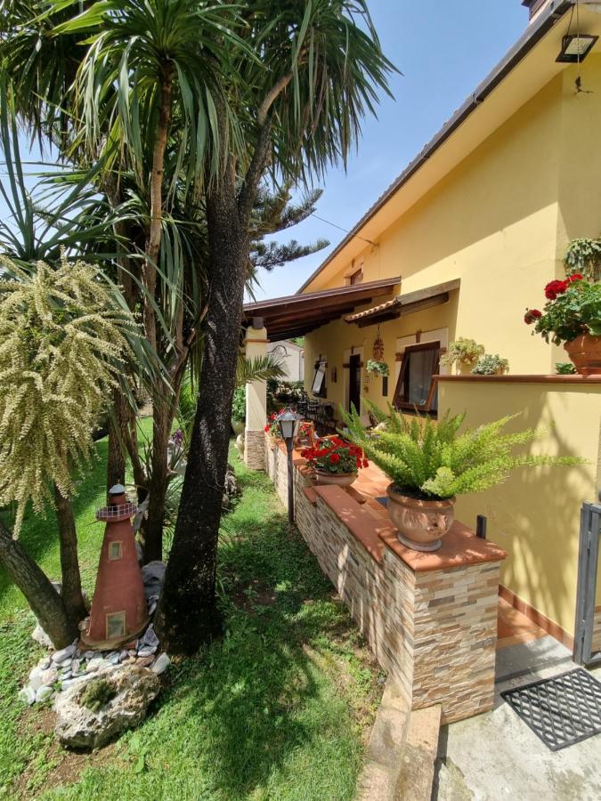 Bed and Breakfast Il Ruscello Maratea Exterior foto