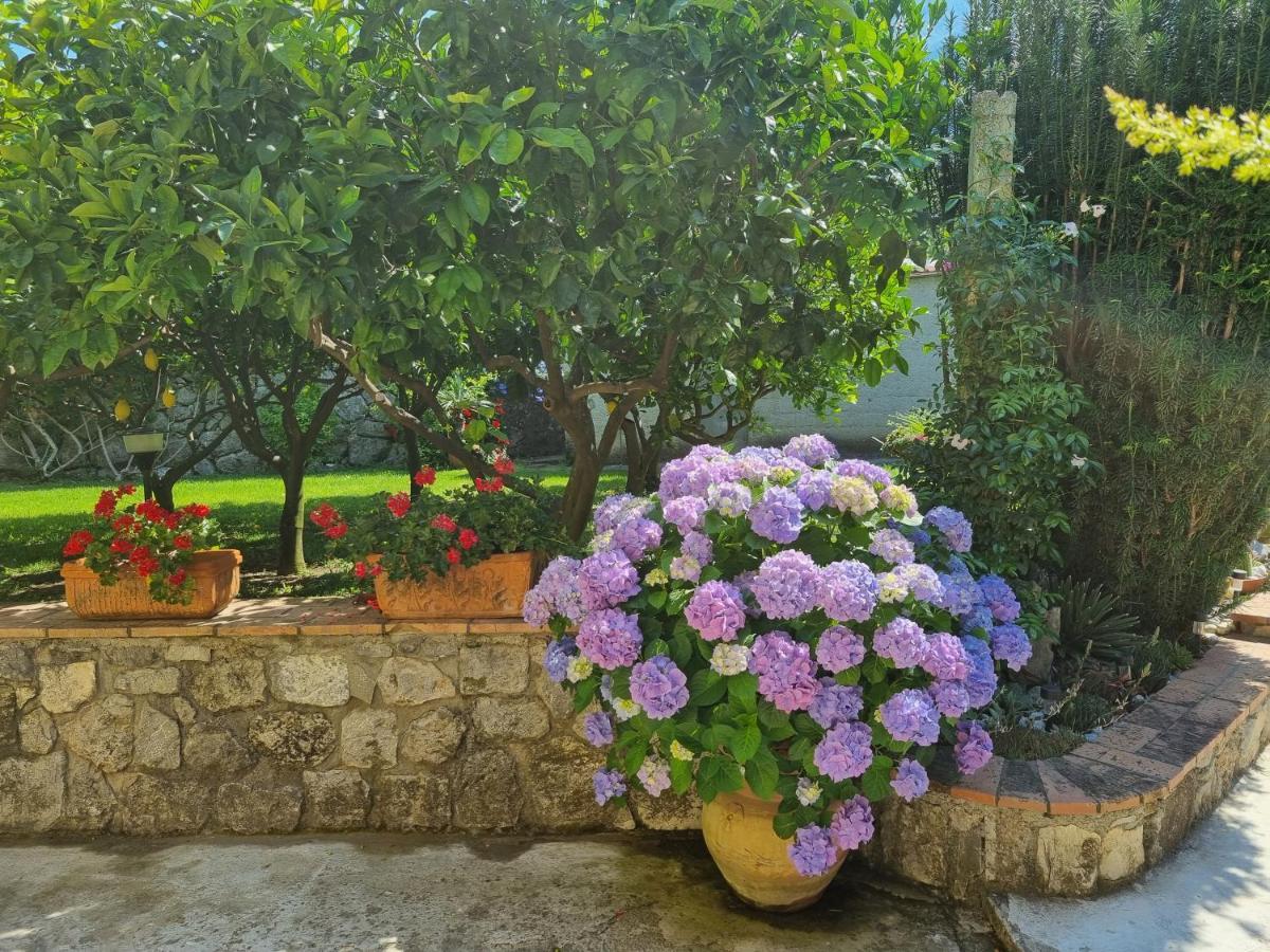 Bed and Breakfast Il Ruscello Maratea Exterior foto