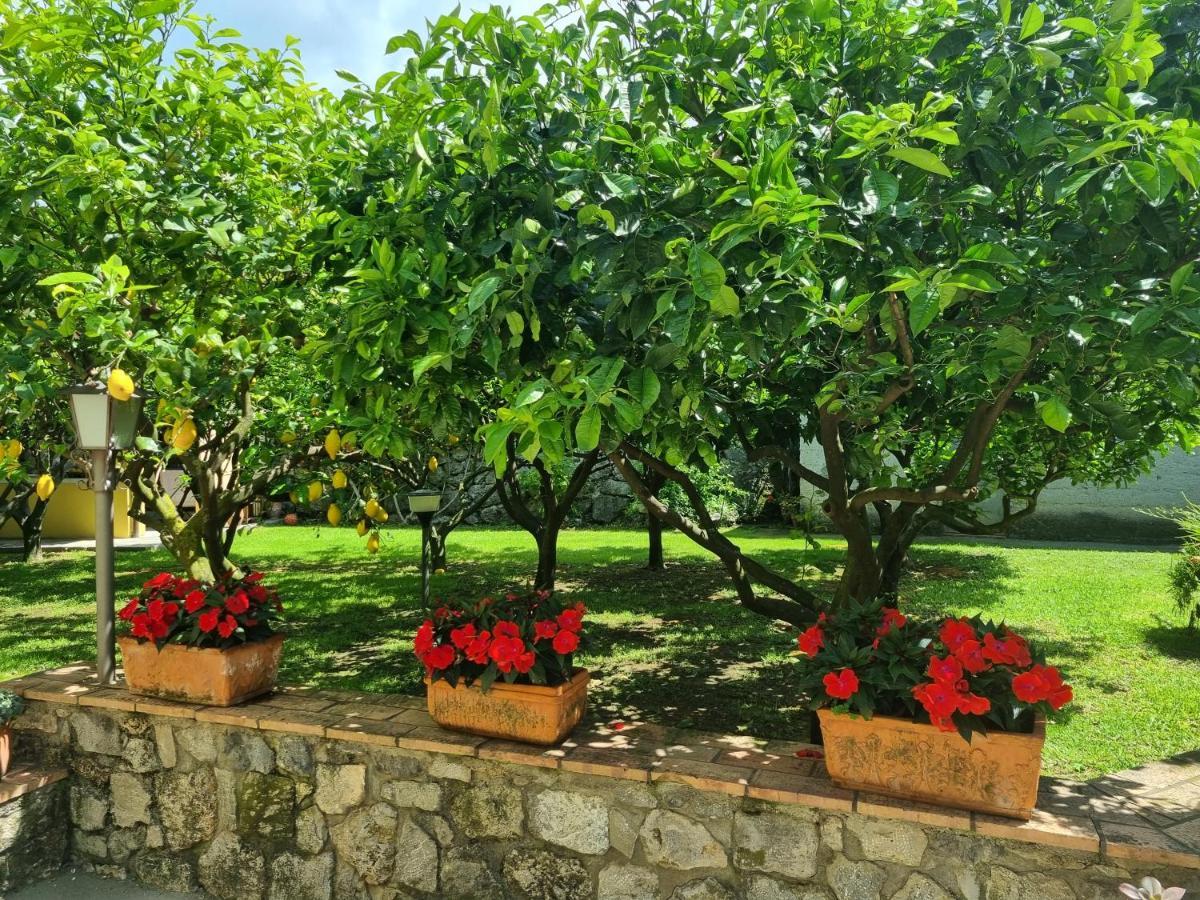 Bed and Breakfast Il Ruscello Maratea Exterior foto