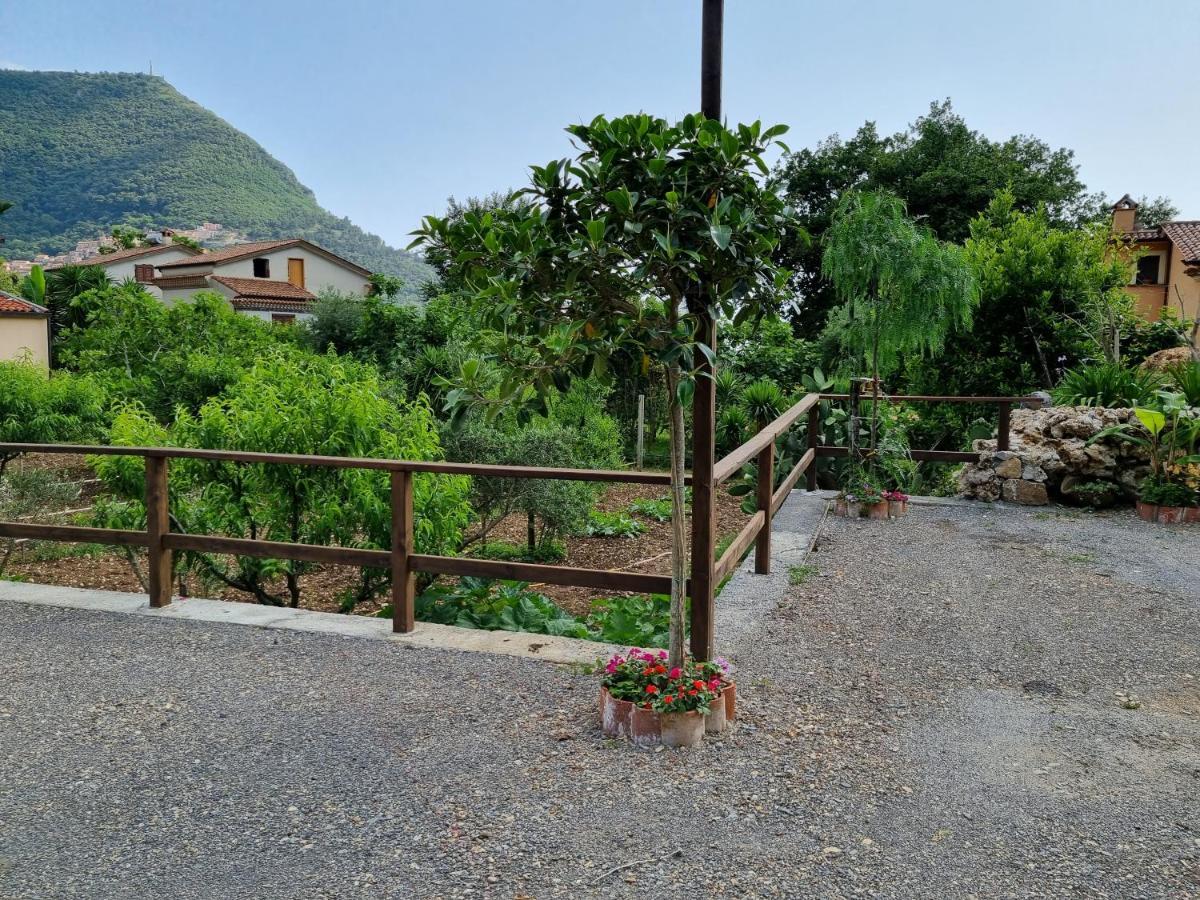 Bed and Breakfast Il Ruscello Maratea Exterior foto
