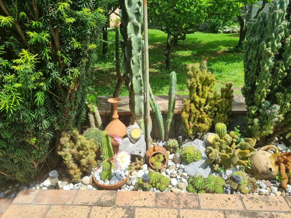 Bed and Breakfast Il Ruscello Maratea Exterior foto