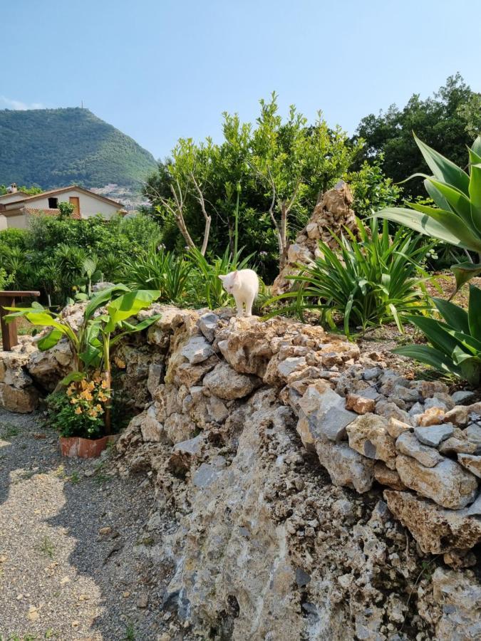 Bed and Breakfast Il Ruscello Maratea Exterior foto