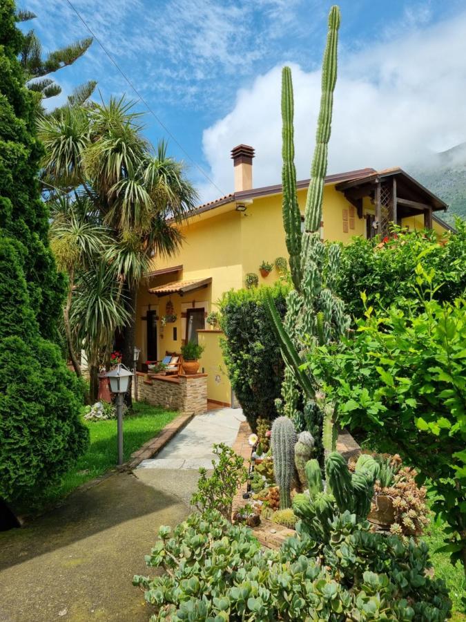 Bed and Breakfast Il Ruscello Maratea Exterior foto