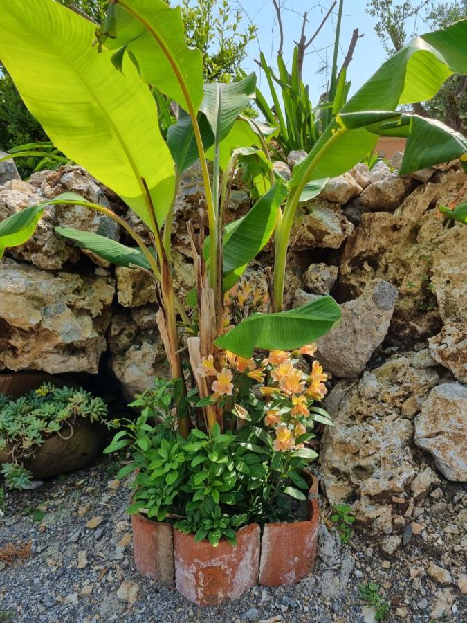 Bed and Breakfast Il Ruscello Maratea Exterior foto