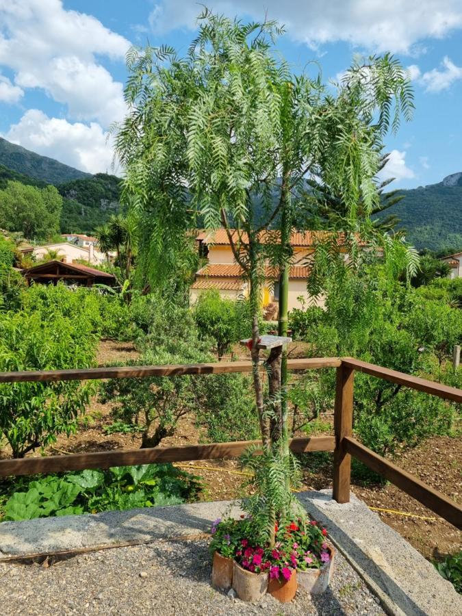 Bed and Breakfast Il Ruscello Maratea Exterior foto